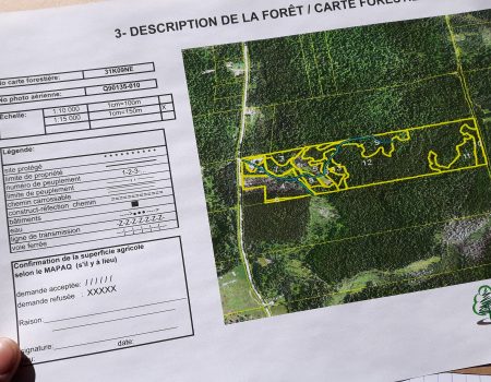 Confection de plan d’aménagement forestier (PAF)