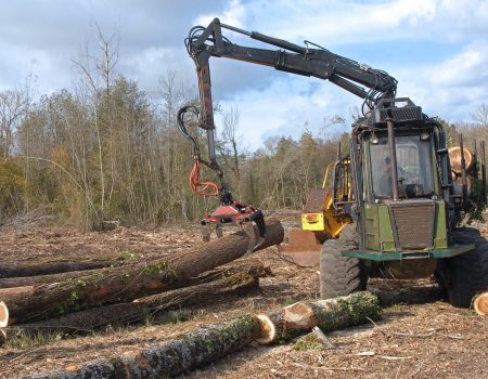 La récolte de bois et l’aménagement